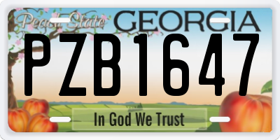 GA license plate PZB1647