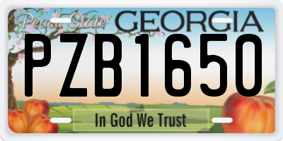 GA license plate PZB1650