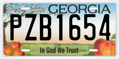 GA license plate PZB1654