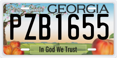GA license plate PZB1655