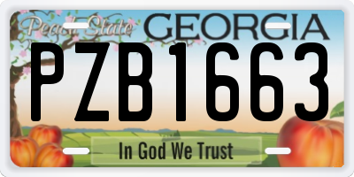 GA license plate PZB1663