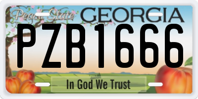 GA license plate PZB1666