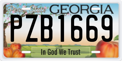 GA license plate PZB1669