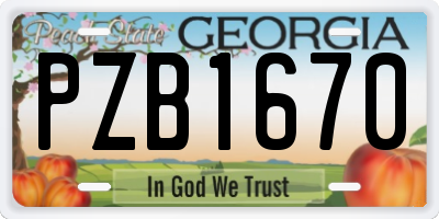 GA license plate PZB1670
