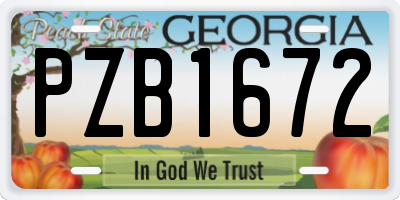 GA license plate PZB1672