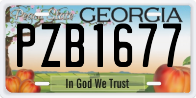 GA license plate PZB1677
