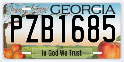GA license plate PZB1685