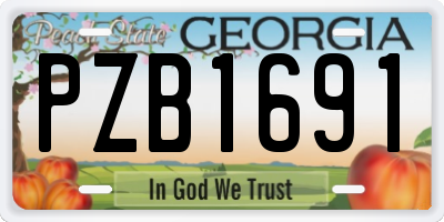 GA license plate PZB1691