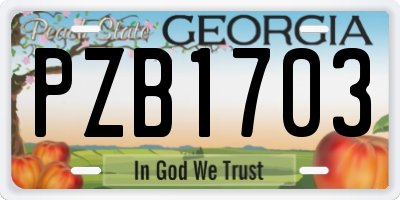 GA license plate PZB1703