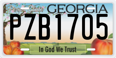 GA license plate PZB1705