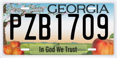 GA license plate PZB1709
