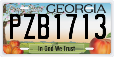 GA license plate PZB1713