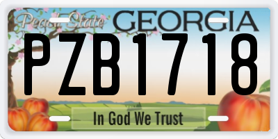 GA license plate PZB1718