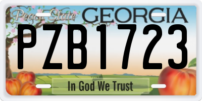 GA license plate PZB1723