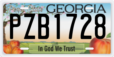 GA license plate PZB1728