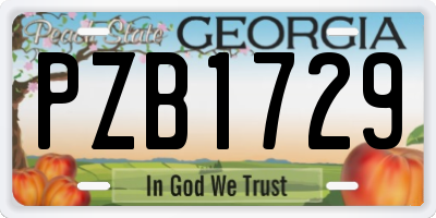 GA license plate PZB1729