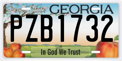 GA license plate PZB1732