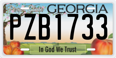 GA license plate PZB1733