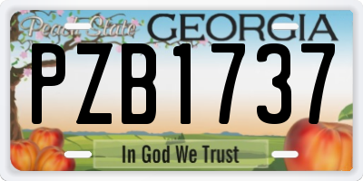 GA license plate PZB1737