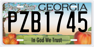 GA license plate PZB1745