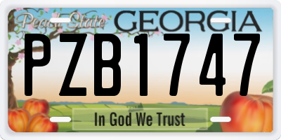 GA license plate PZB1747