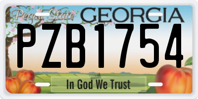 GA license plate PZB1754