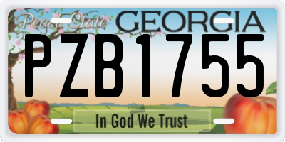 GA license plate PZB1755