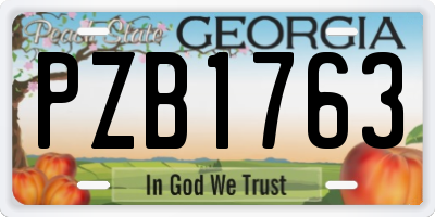 GA license plate PZB1763