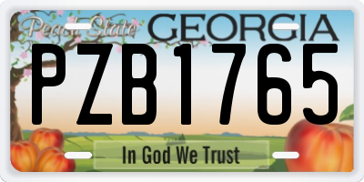 GA license plate PZB1765