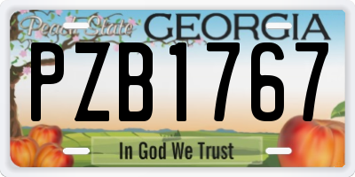 GA license plate PZB1767