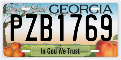 GA license plate PZB1769