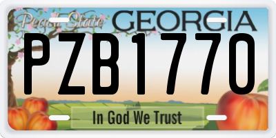 GA license plate PZB1770