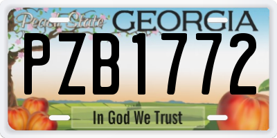 GA license plate PZB1772