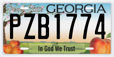 GA license plate PZB1774