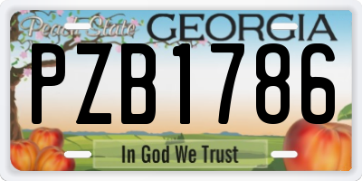 GA license plate PZB1786