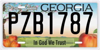 GA license plate PZB1787