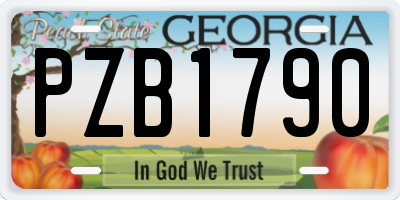 GA license plate PZB1790