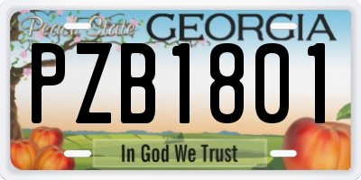 GA license plate PZB1801