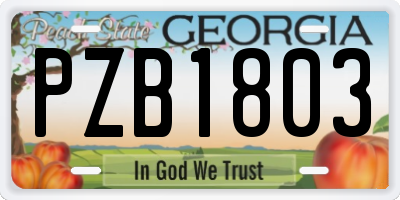 GA license plate PZB1803
