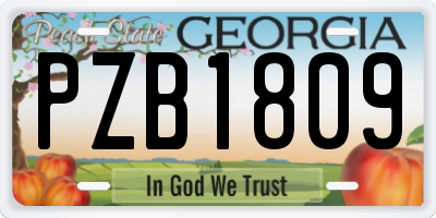 GA license plate PZB1809