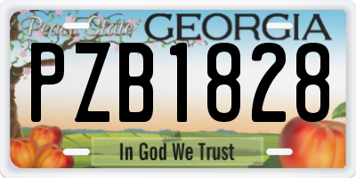 GA license plate PZB1828