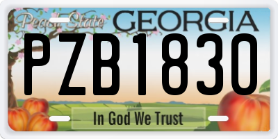 GA license plate PZB1830