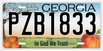 GA license plate PZB1833