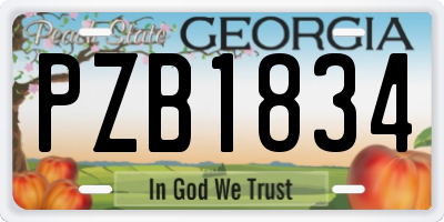 GA license plate PZB1834