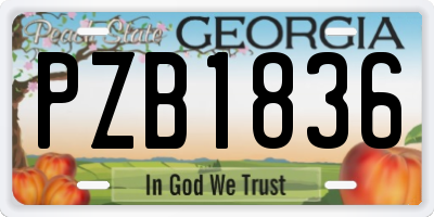 GA license plate PZB1836