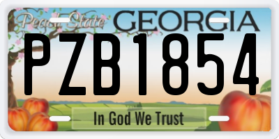 GA license plate PZB1854
