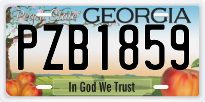 GA license plate PZB1859