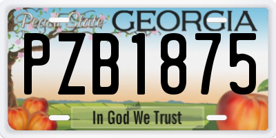 GA license plate PZB1875