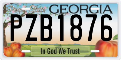 GA license plate PZB1876