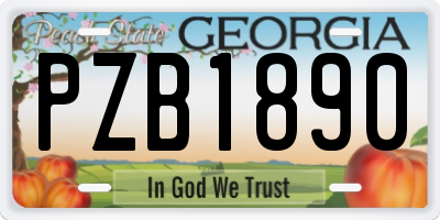 GA license plate PZB1890